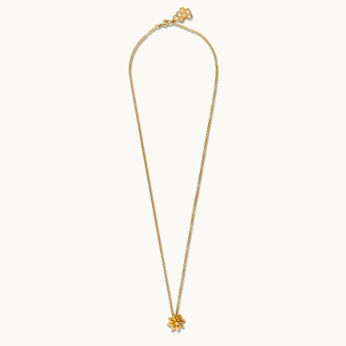 Κολιέ Ρόδακας